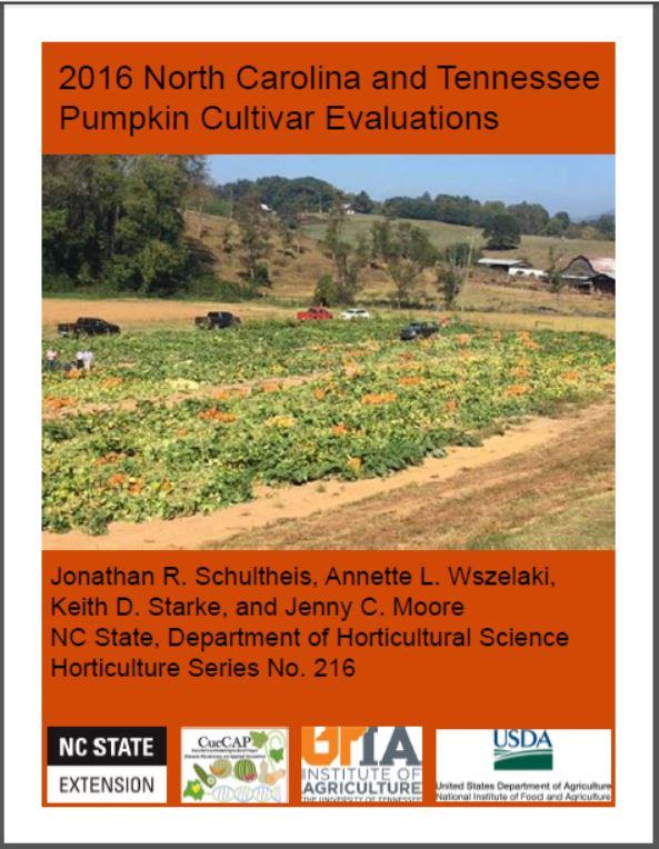 pumpkin booklet cover