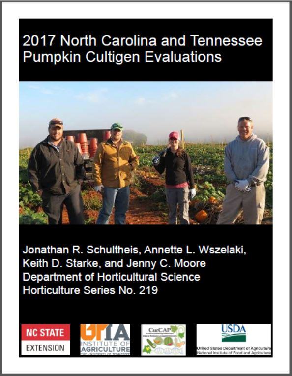 pumpkin booklet cover