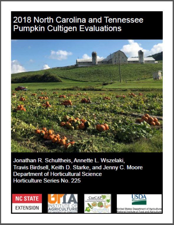pumpkin booklet cover