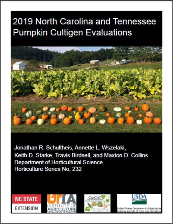 pumpkin booklet cover