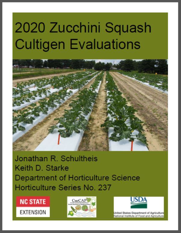 squash booklet cover