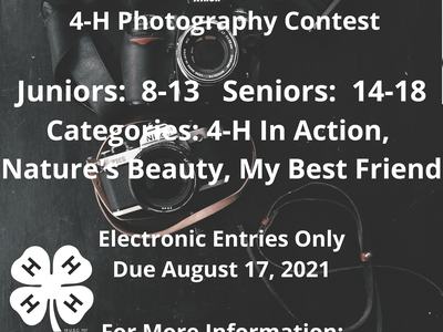 photo contest flyer