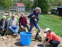 Gardener with a shovel and other gardeners looking on or helping