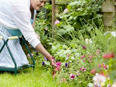 gardener kneeling on adaptive gardening stool