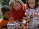 A horticultural agent works with students to make terrariums...Becky Kirkland photos..