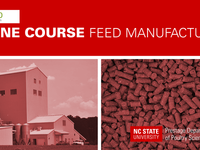 banner image anpro campus online course feed manufacturing