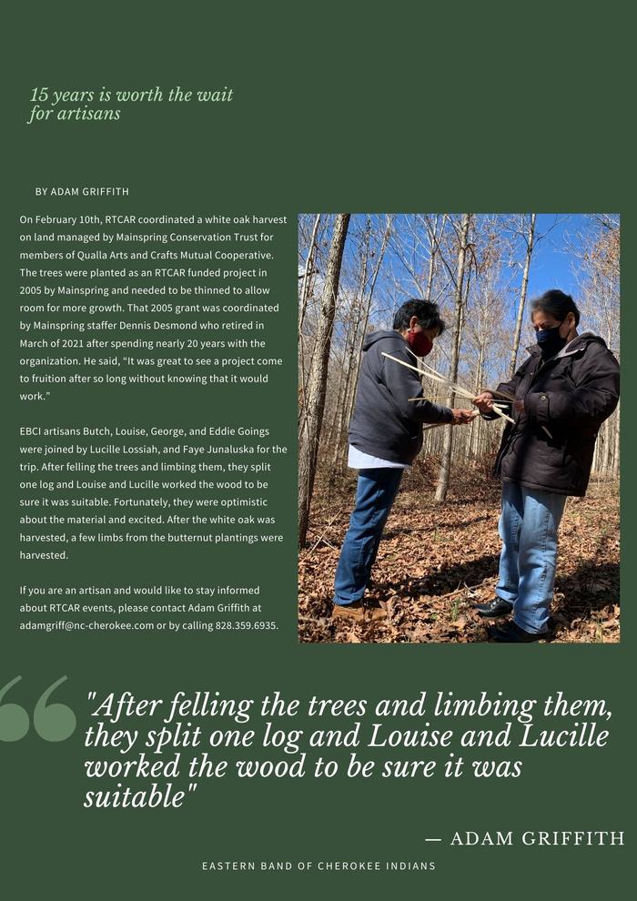 On February 10th, RTCAR coordinated a white oak harvest on land managed by Mainspring Conservation Trust for members of Qualla Arts and Crafts Mutual Cooperative. The trees were planted as an RTCAR funded project in 2005 by Mainspring and needed to be thinned to allow room for more growth. That 2005 grant was coordinated by Mainspring staffer Dennis Desmond who retired in March of 2021 after spending nearly 20 years with the organization. He said, “It was great to see a project come to fruition after so long without knowing that it would work.” EBCI artisans Butch, Louise, George, and Eddie Goings were joined by Lucille Lossiah, and Faye Junaluska for the trip. After felling the trees and limbing them, they split one log and Louise and Lucille worked the wood to be sure it was suitable. Fortunately, they were optimistic about the material and excited. After the white oak was harvested, a few limbs from the butternut plantings were harvested. If you are an artisan and would like to stay informed about RTCAR events, please contact Adam Griffith at adamgriff@nc-cherokee.com or by calling 828.359.6935.