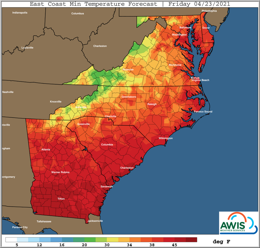 Minimum temp forecast Friday chart image