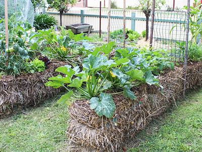 Straw bale gardening