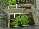 Cover on crop to protect from frost
