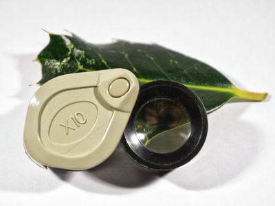 Hand Lens