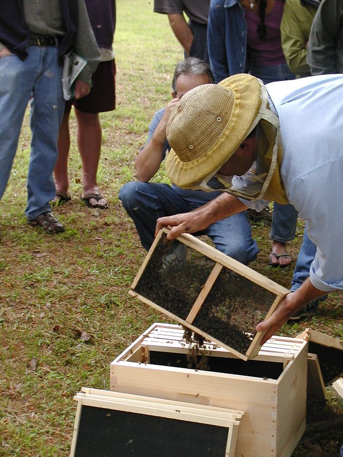Beekeeper