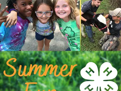 Summer Fun Collage