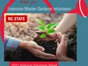Hands around a tree seedling