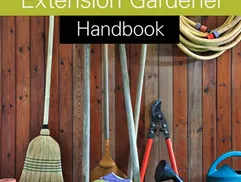 MG Handbook Cover