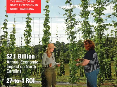 2020 Annual Report