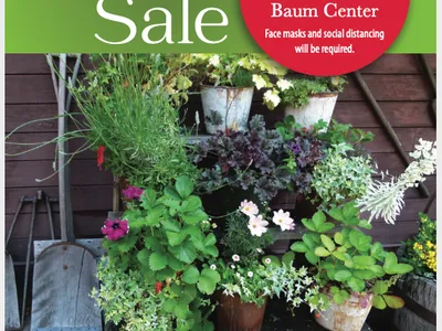 Master Gardener Plant Sale — MAY 15 9:00am–2:00pm Baum Center; face masks required