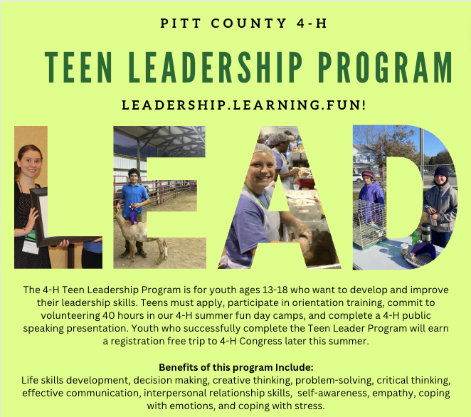 Pitt County 4‑H Teen Leadership Program poster — LEAD; ages 13–18; volunteer 40 hours