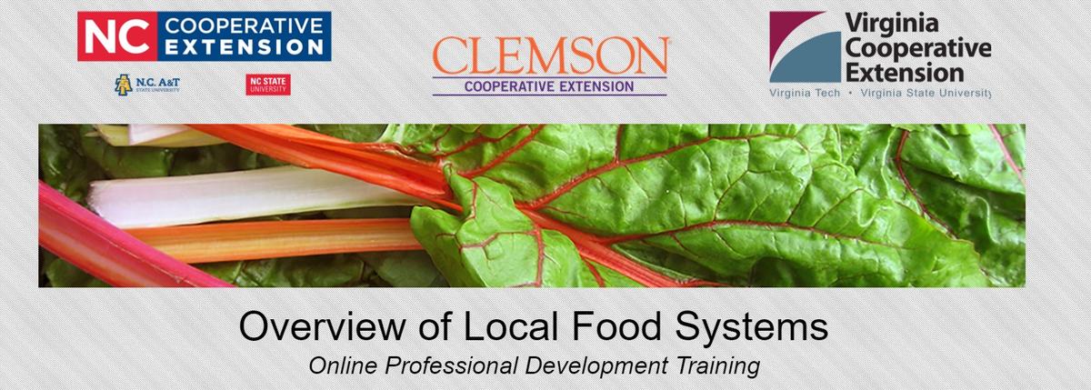 Overview of Local Food Systems Professional Development Series Logo