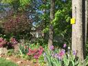 Spring Backyard Landscape