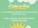 4-H Summer Fun flyer image