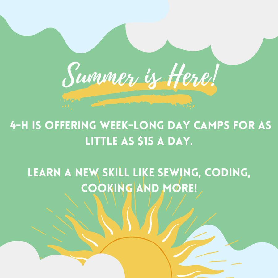 4-H Summer Fun flyer image