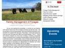 WNC Newsletter Spring 2021