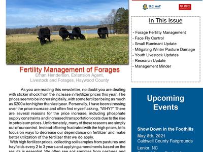 WNC Newsletter Spring 2021