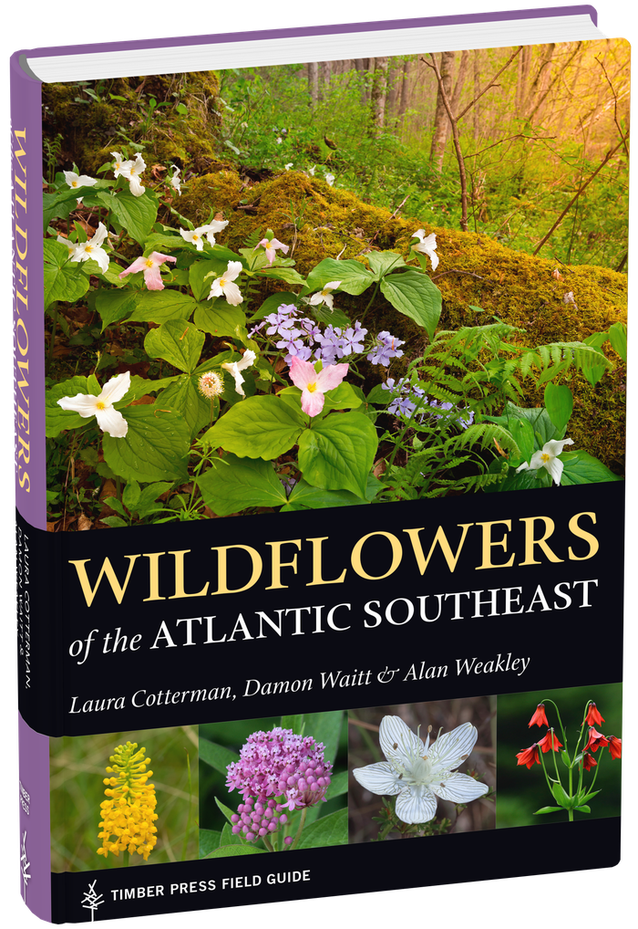 Book cover: Wildflowers of the Atlantic Southeast