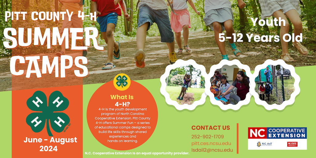 Kids running; text: Pitt County 4‑H Summer Camps; Youth 5–12; June–August 2024
