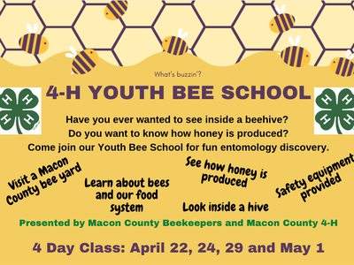 Youth Bee School Flyer