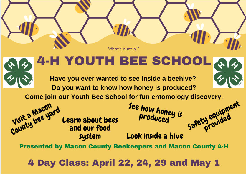 Youth Bee School Flyer