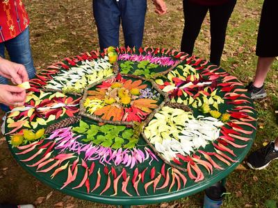 Tabletop floral mandala being assembled from colorful petals and leaves outdoors