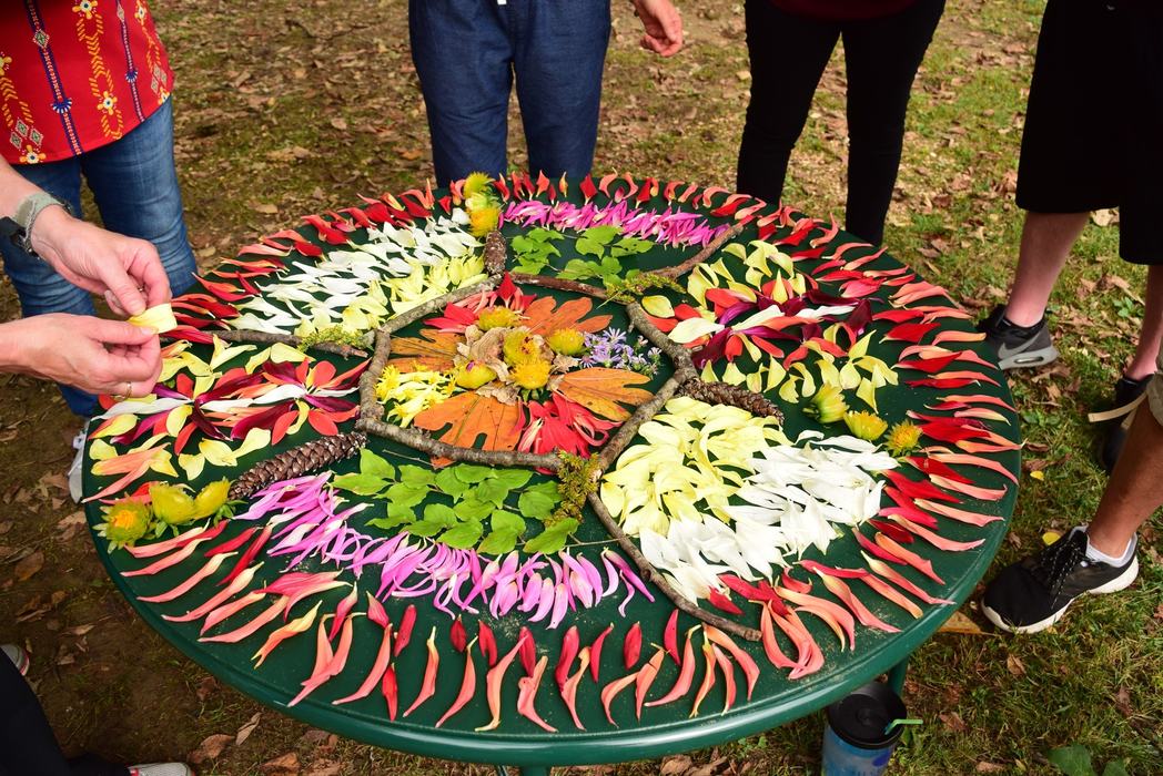 Petals arranged into a circle of colors