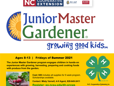 Junior Master Gardener Flyer
