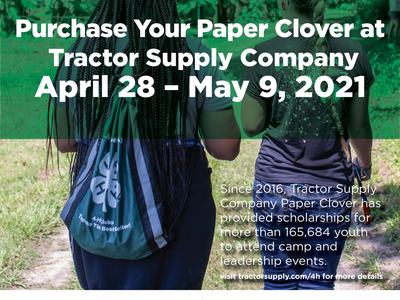 TSC Clover Paper Clover