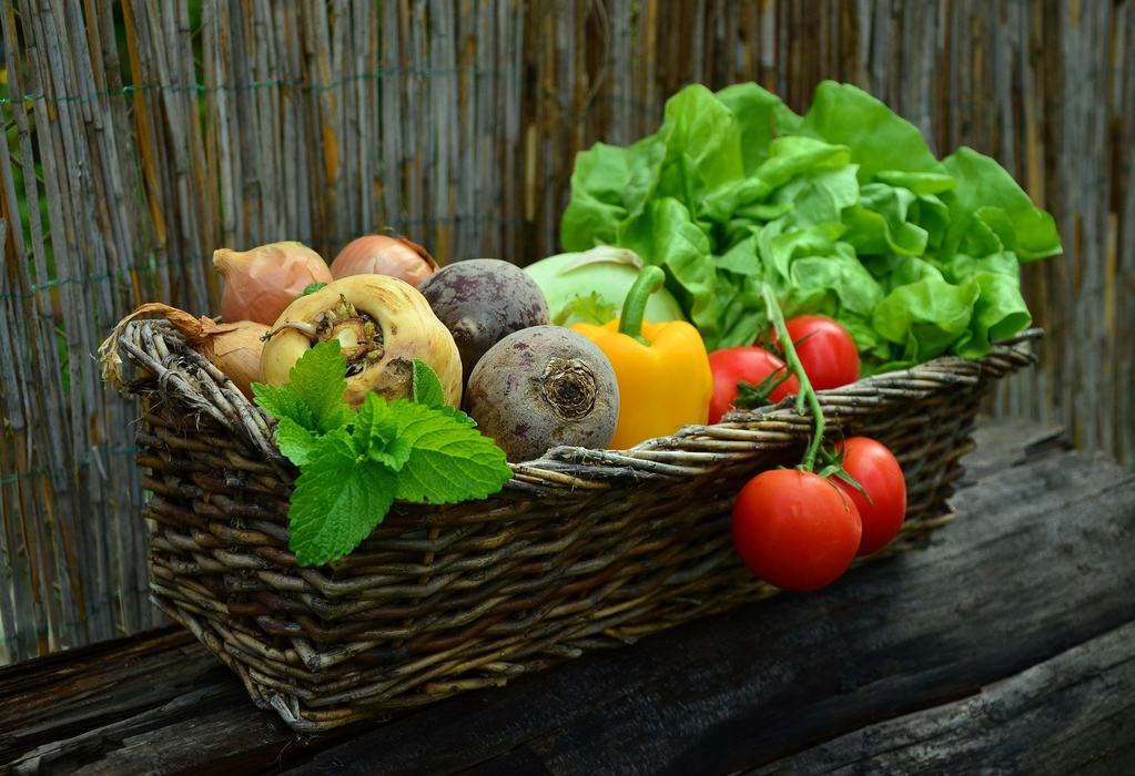 Basket of various vegetables like lettuce, bell peppers, and tomatoes