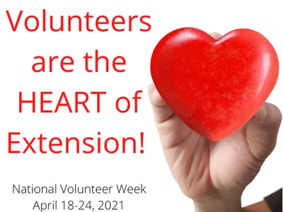 volunteers