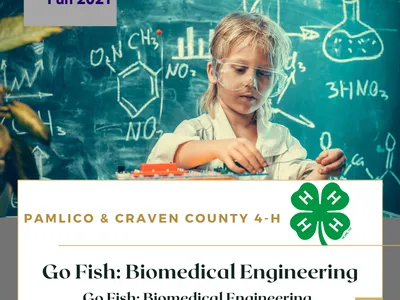 Go Fish flyer image