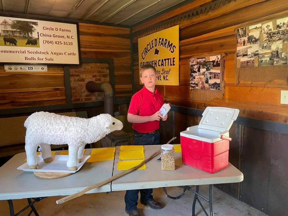 Boy standing in front of table