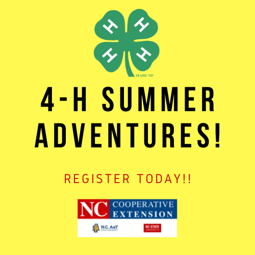 4-H Summer Adventures flyer image