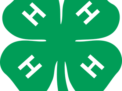 Green four-leaf clover with a white "H" on each leaf and small text "18 USC 707" at bottom