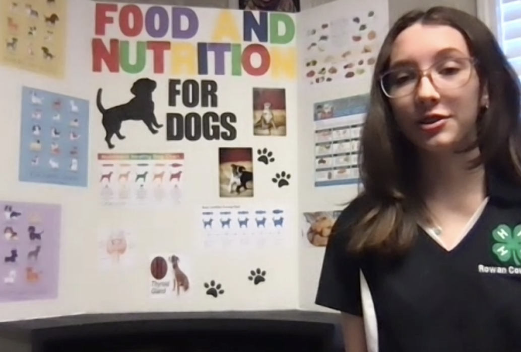 Girl making presentation