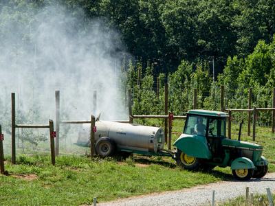Spraying apple orchard