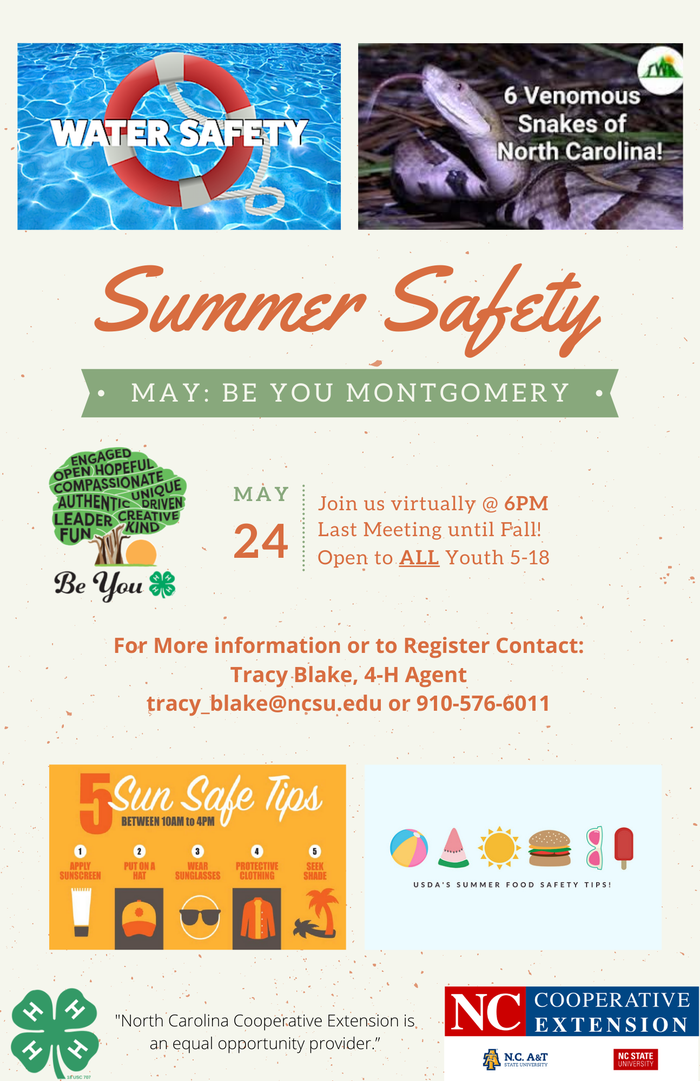 Summer safety flyer image