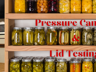 Pressure Canning & Lid Testing