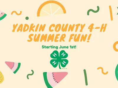 Summer Fun!