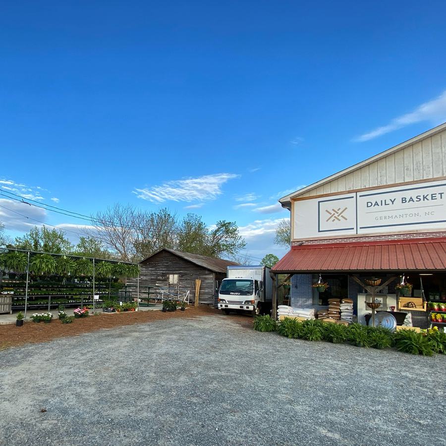 Daily Basket storefront