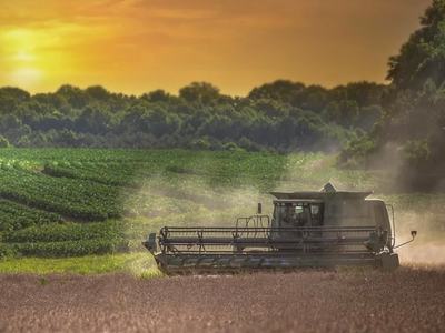 Combine harvester cutting crop in field at sunset, dust rising