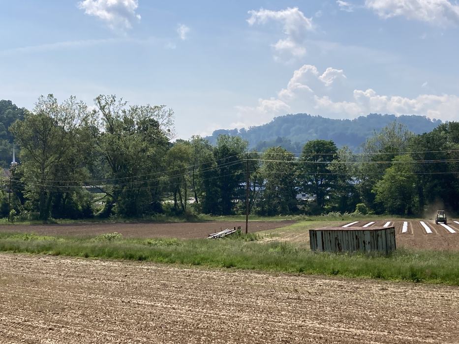 hemp research field site with mountains